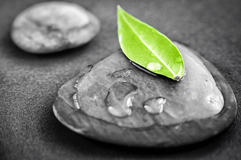 Black and white zen stones submerged in water with color accented green leaf